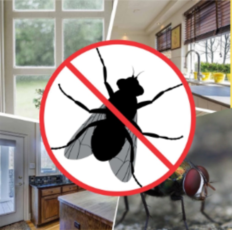 Jedinečný dekorační pomocník proti mouchám